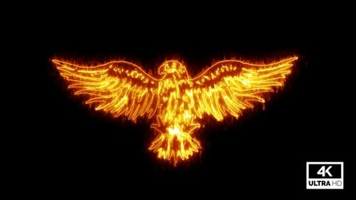 Brennender Adler isoliert auf schwarzem Hintergrund