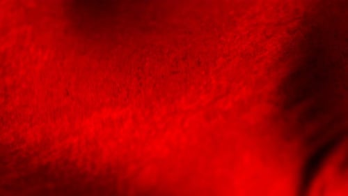 Dynamic Red Fluid Abstract Motion Background