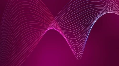 New Pink Color Gradient Ribbon Line Wave Animated Background