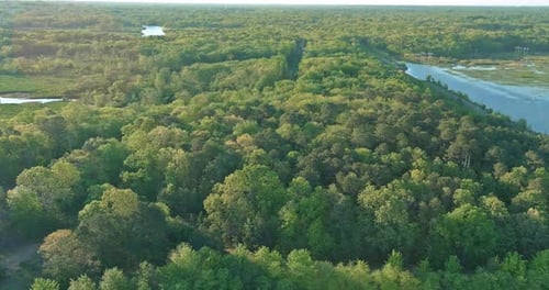 Beautiful panorama landscape with clouds above lake in a forest