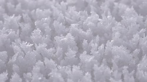 Macro View of Frost Crystals in Winter