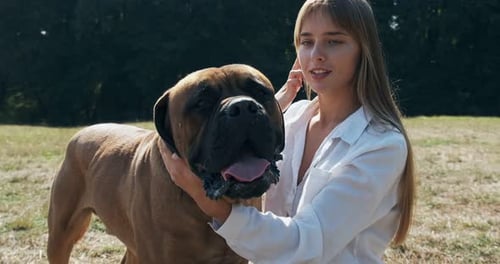 Woman Cuddling Large Bullmastiff Dog in Green Field
