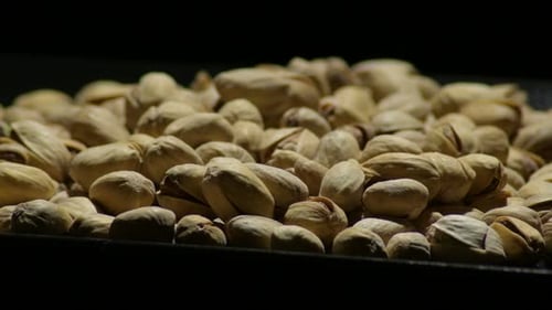 Pistachios Nuts to Eat Gyrating