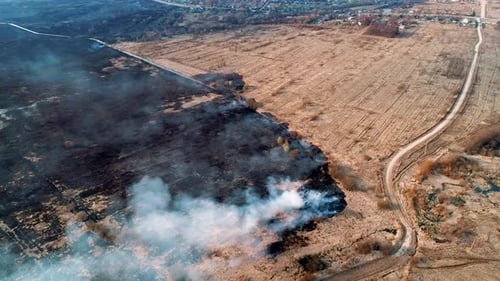 Strong Fire in an Empty Field Slight Smoke From a Burning Place