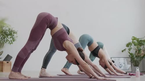 Group Does Yoga in Bright Indoor Studio