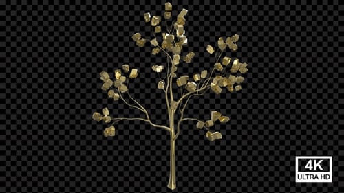 Animated Golden Decorative Tree Growth on Alpha Channel