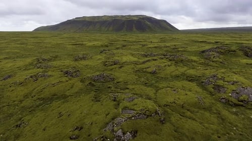 Aerial View of Mossy Lava Field in Iceland