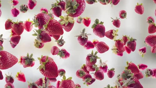 Floating Fresh Red Strawberries Seamless Loop