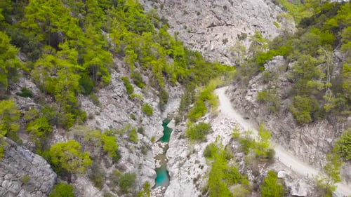 Flight Over a Mountain River and a Trail to a Gorge Among a Coniferous Forest
