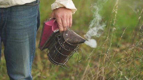 Beekeeper Smoker Smokes White Smoke. Beekeeping Tool Close Up.