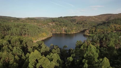 Aerial View of Forest Lake on Clear Day