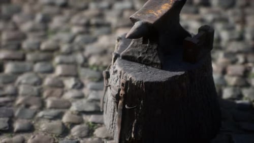 Old Anvil Attached to a Stump