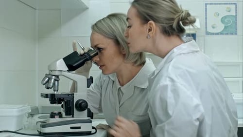 Scientists Conducting Research with Microscope in Laboratory
