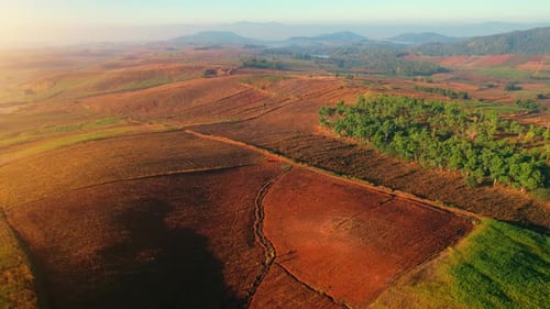 4K : Aerial view from a drone over a rural field at sunrise in Thailand.