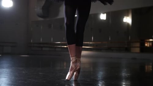Elegant Ballerina Practicing Graceful Ballet Moves in Studio