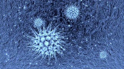 Corona Virus Under microscope