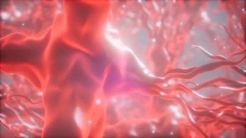 Journey Through a Neuron Cell Network Inside the Brain