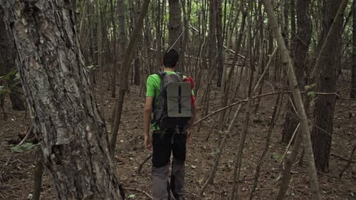 Tourist with a Backpack Goes Down the Stone Mountain Path in the Forest