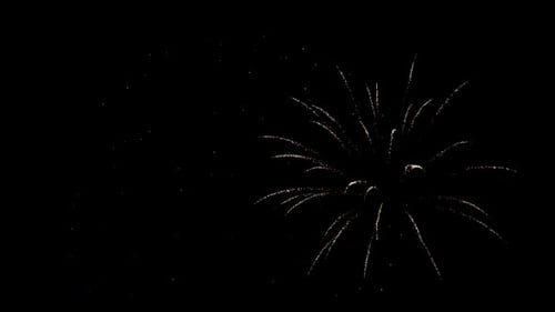Fireworks 293