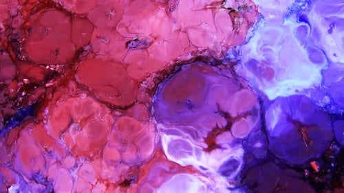 Abstract Colorful Fluid Ink Spreads