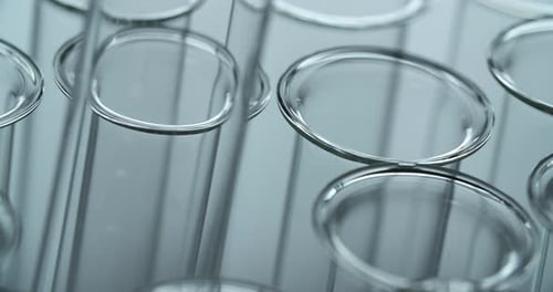 Close Up of Test Tubes in Rack in Lab