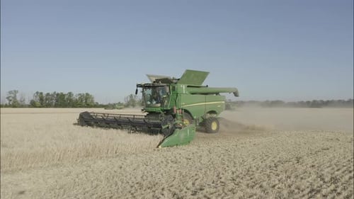 Combine Harvesting Wheat Top View of a Wheatfield