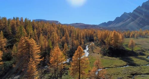 Forward Aerial Over Alpine Mountain Valley and Orange Larch Forest Woods in Sunny Autumn