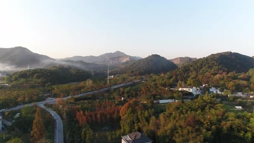 Autumn forest
