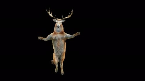 Funny Deer Character Performing Dance on Alpha Channel