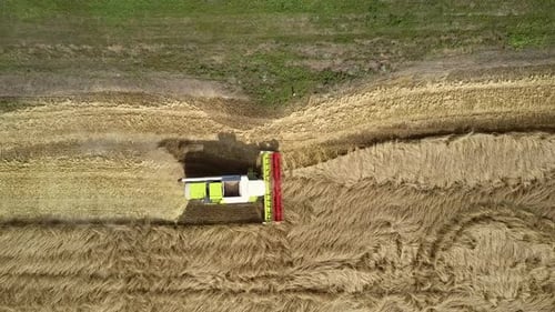 Camera Moves Down Close To Harvester on Ripe Wheat Field