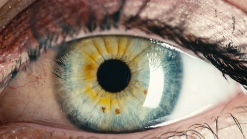 Detailed Close-up of a Beautiful Human Eye