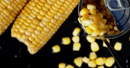 Canned Sweet Corn Aerial View with Spoon