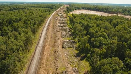 Construction of a New Road