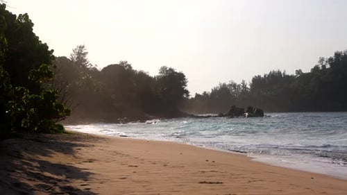 Wilder leerer Strand