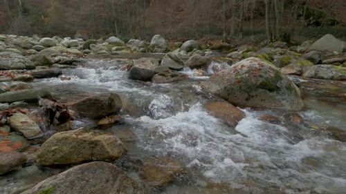 River in Mountain Forest at Autumn in Slow Motion