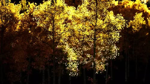 Bright Sunset in the Mountains