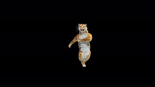 Tiger Tanzen 4K