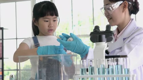 Child Holding Mouse During Science Experiment