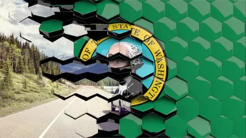 Hexagon Grid Geometric Reveal Transition