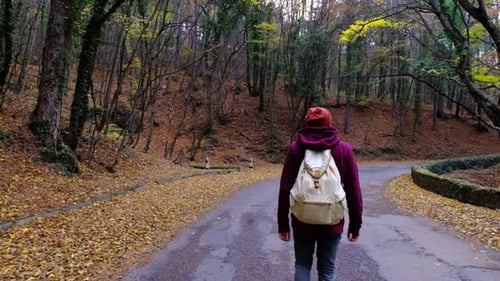 Man is Enjoying Nature Walking Alone in Forest at Autumn Day