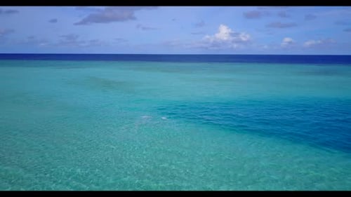 Aerial drone shot seascape of beautiful tourist beach wildlife by blue sea and white sand background