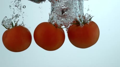 Ripe Tomatoes Splashing Into Clear Water