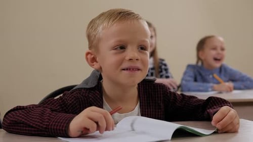 Closeup of a Little Boy Sitting at a Desk at School and Laughing