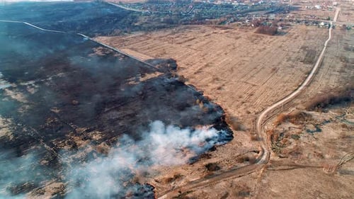 Incendie puissant dans un champ vide, légère fumée provenant d'un endroit en feu. Grande zone d'épuisement, champ noir