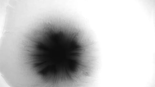Black Ink Drop Spreads on White Background