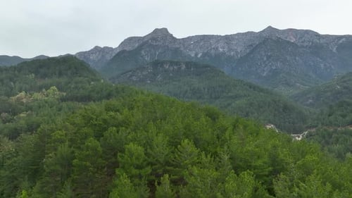 Geheimnisvoller Wald hoch in den Bergen Luftbild 4 K