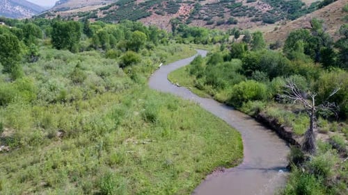 Flying over winding river through green landscape