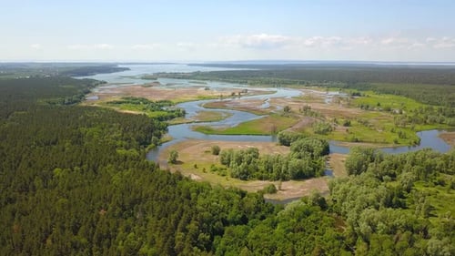 River In The Forest