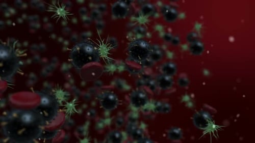 Viruses Spread Inside The Body Loop