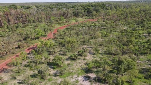 High Moving aerial drone shot of Red Winding Road and Dense Green Bushland near Holmes Jungle Nature